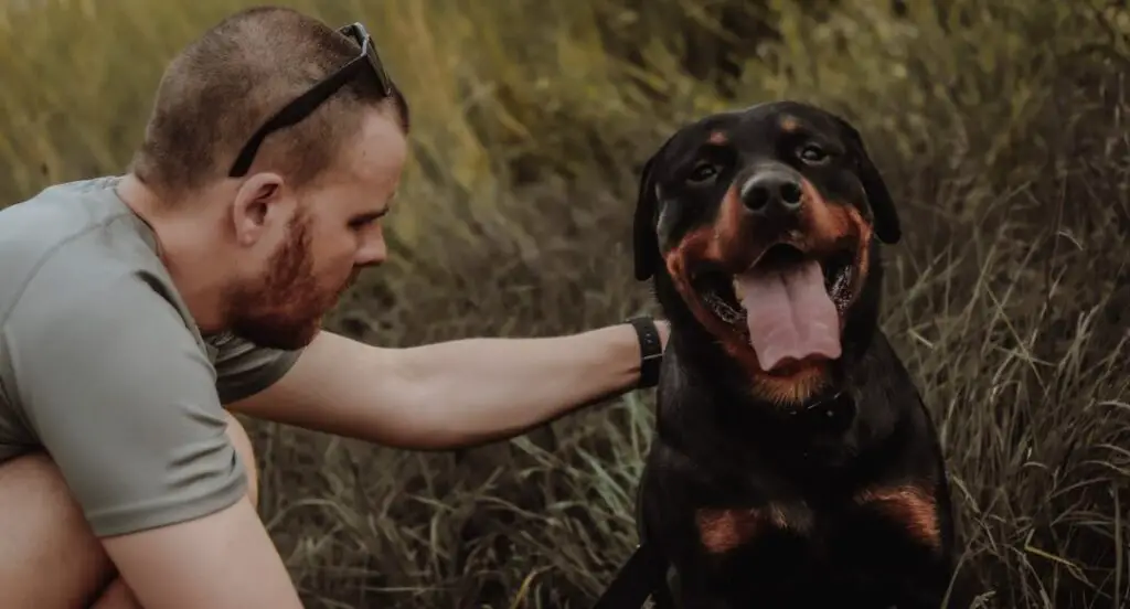 A man and Rottweiler