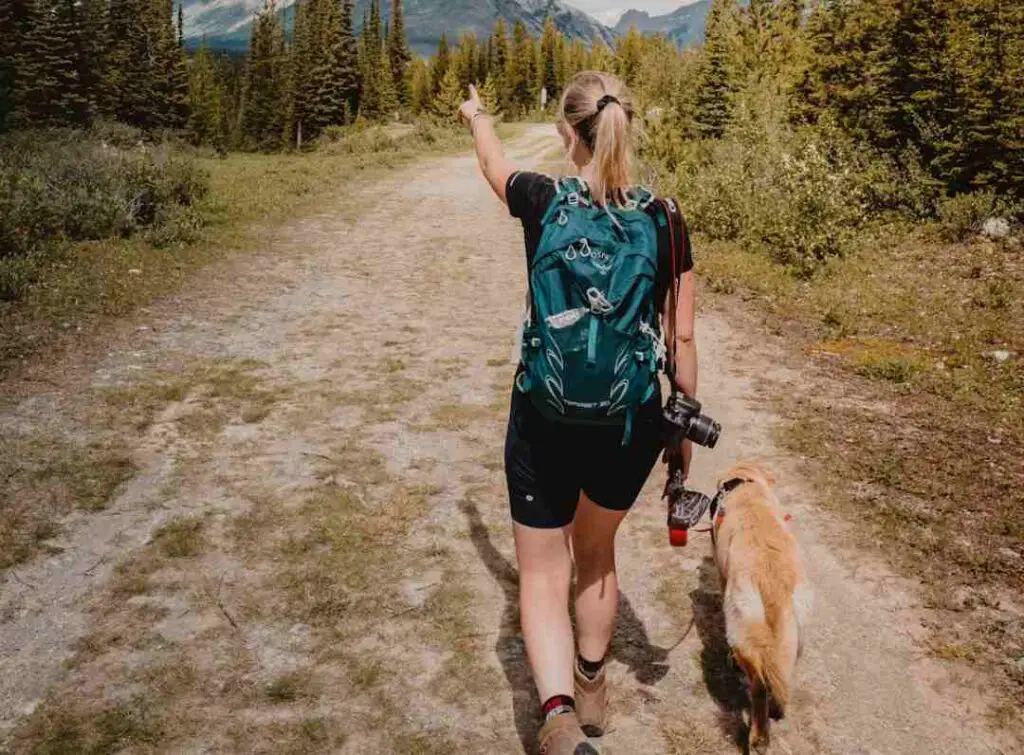 Dog going hiking with a lady