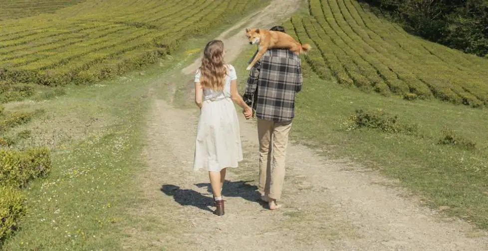 Dog on owner shoulder